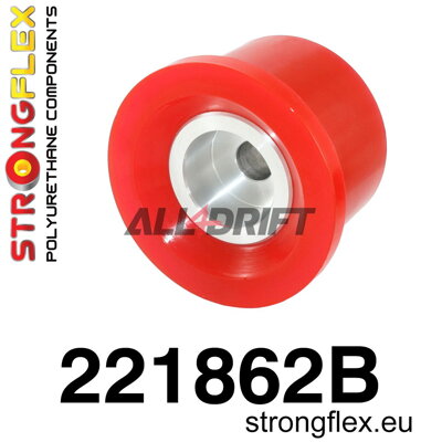 221862B Rear differential front mount bush Audi / Seat / Škoda / VW