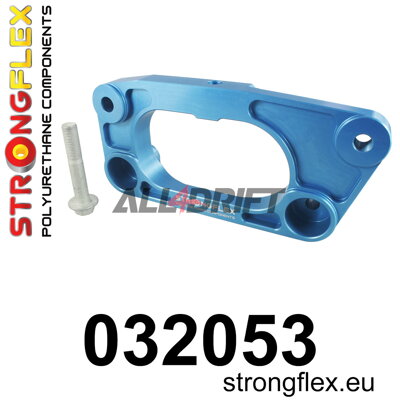 32053 Rear Differential Dual Mount BMW